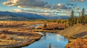 Yellowstone National Park