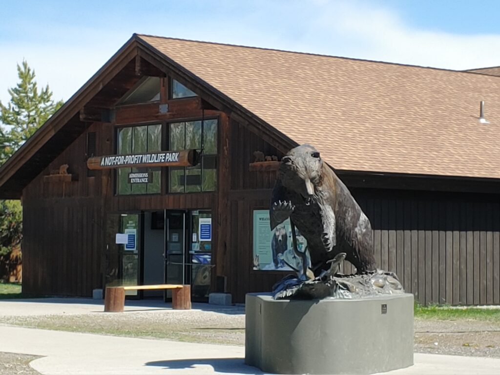Grizzly & Wolf Discovery Center