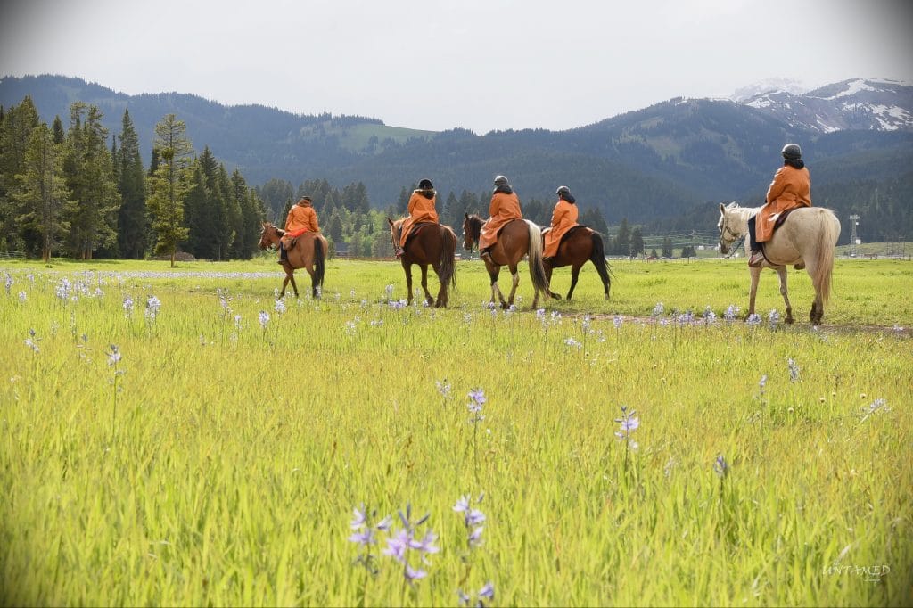 The Diamond P Ranch